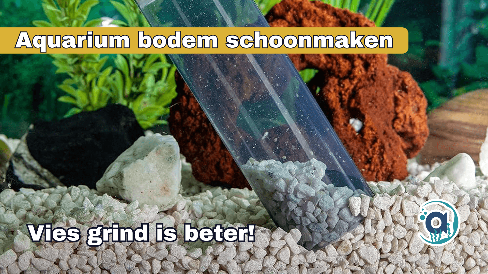Aquarium bodem schoonmaken