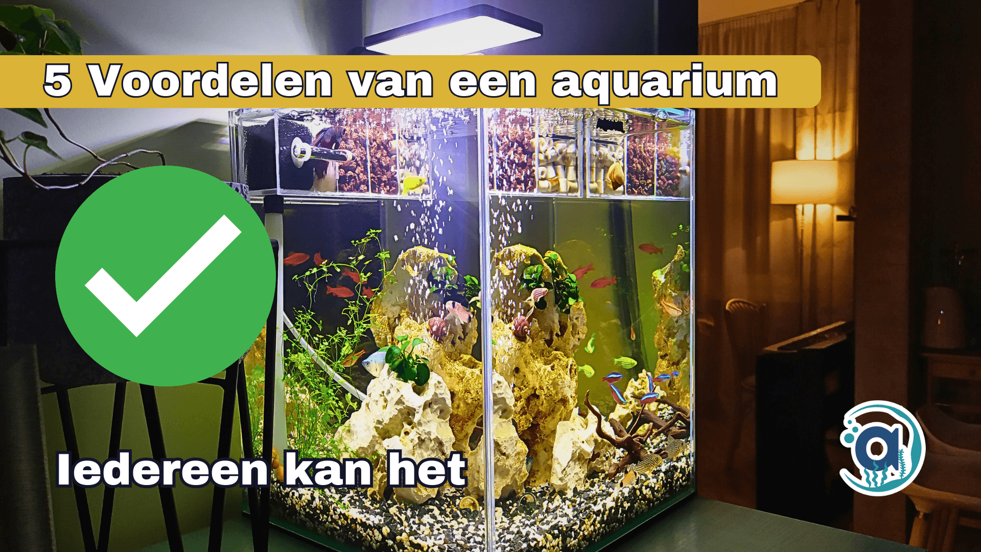 Voordelen van een aquarium