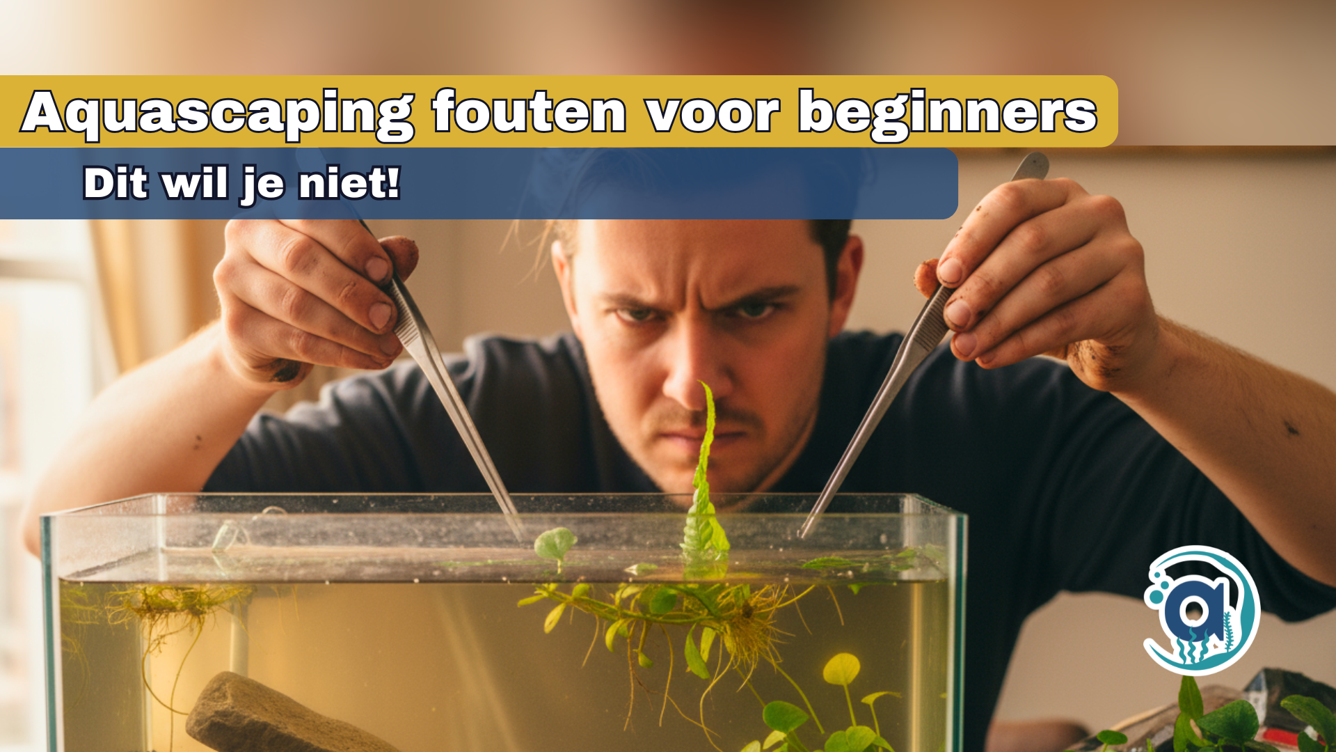 Aquascaping fouten voor beginners