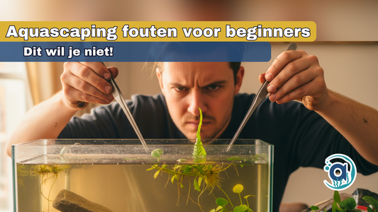 Aquascaping fouten voor beginners
