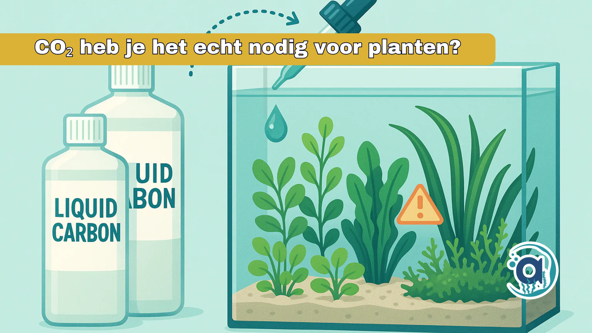 CO₂ aquarium: heb je het echt nodig voor planten?