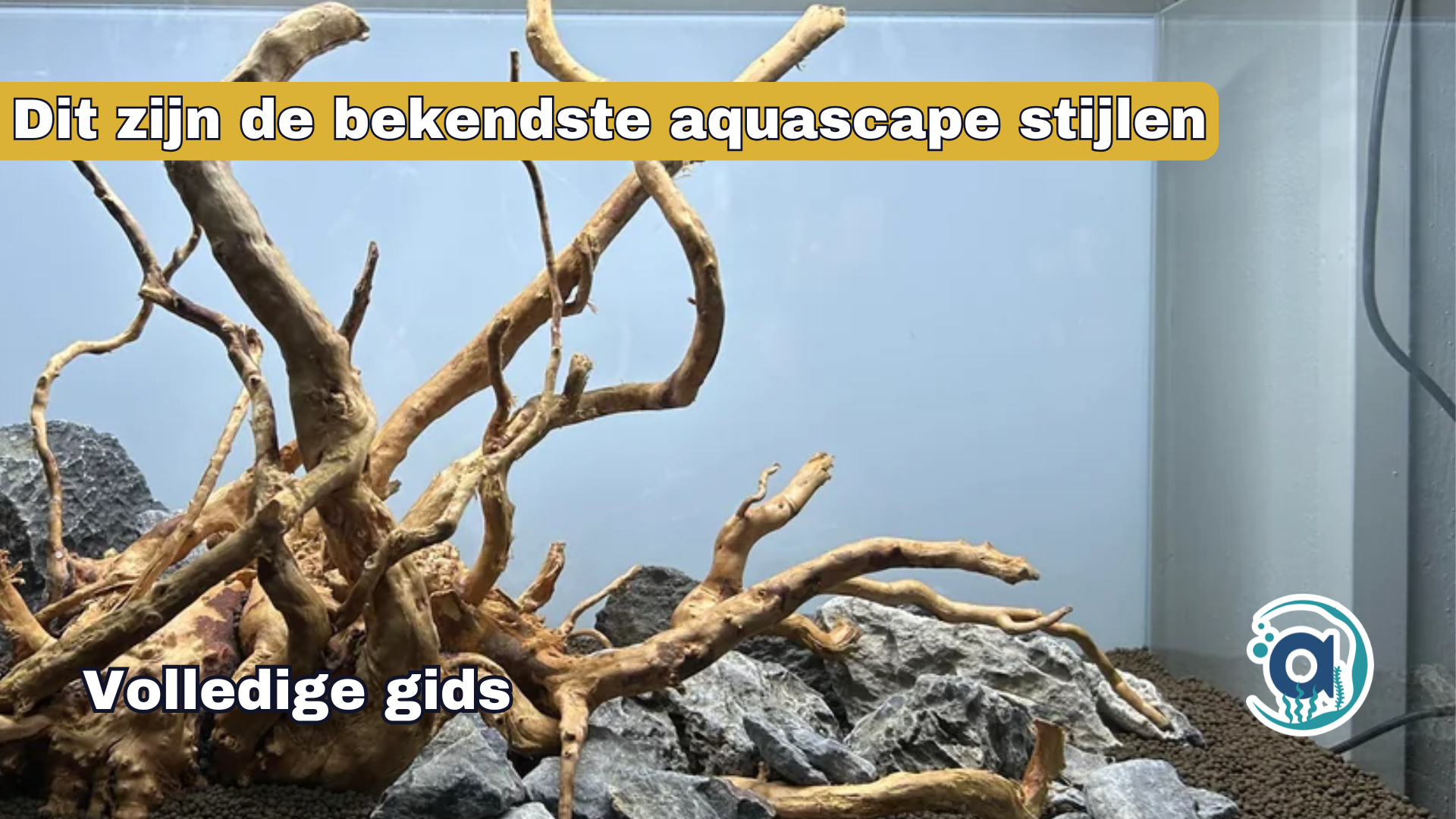Dit zijn de bekendste aquascape stijlen