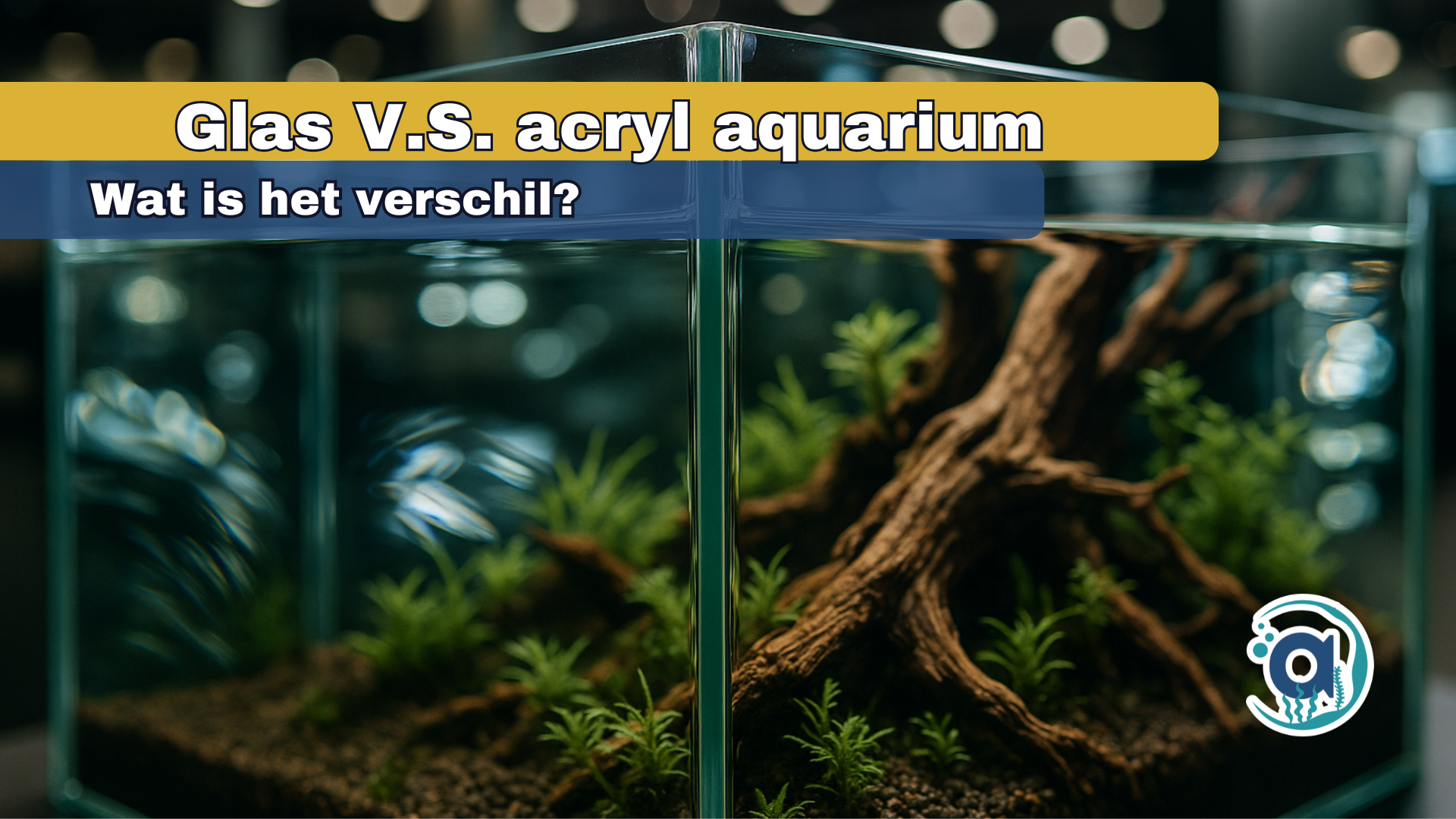 Wat is het verschil bij een Glazen of acryl aquarium?