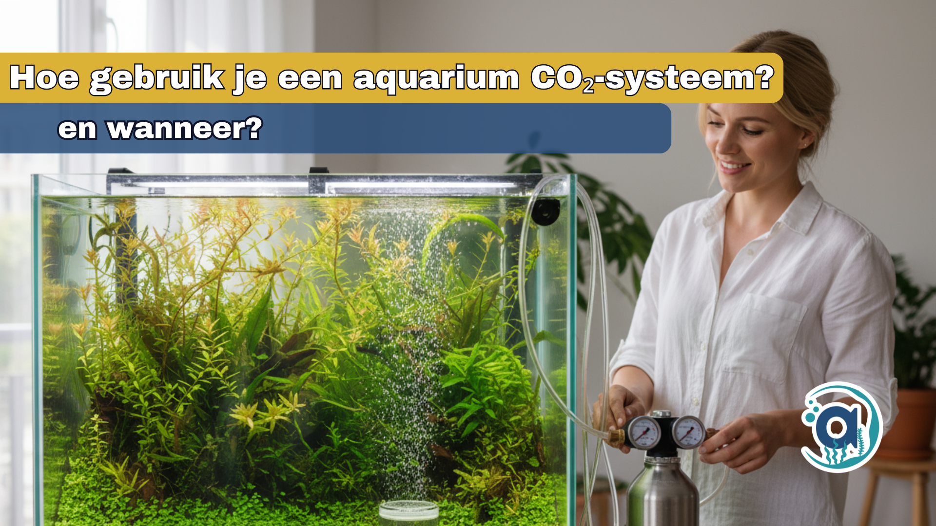 Wanneer en hoe gebruik je een aquarium CO₂-systeem?