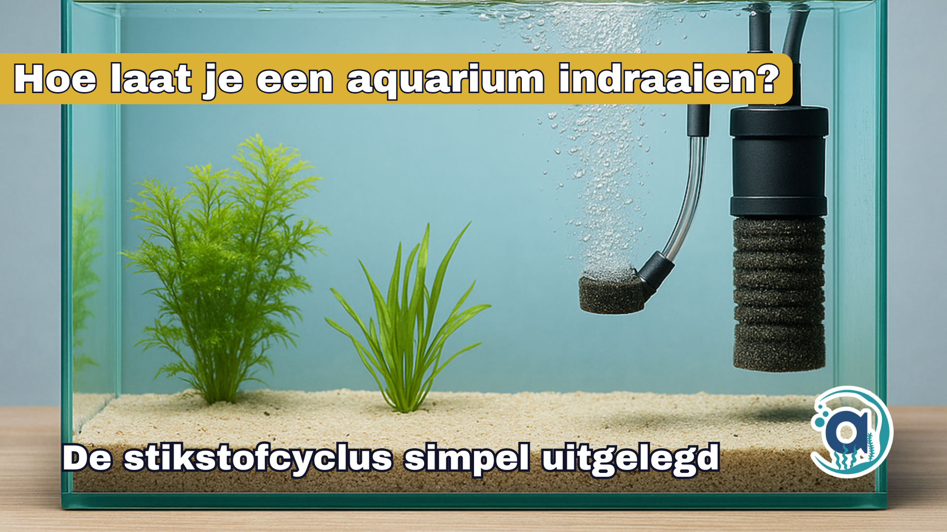 Hoe laat je een aquarium indraaien?