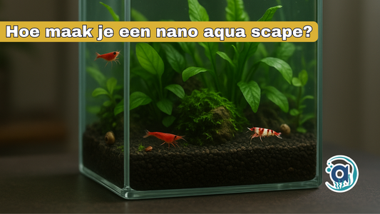 Hoe maak je een nano aqua scape?