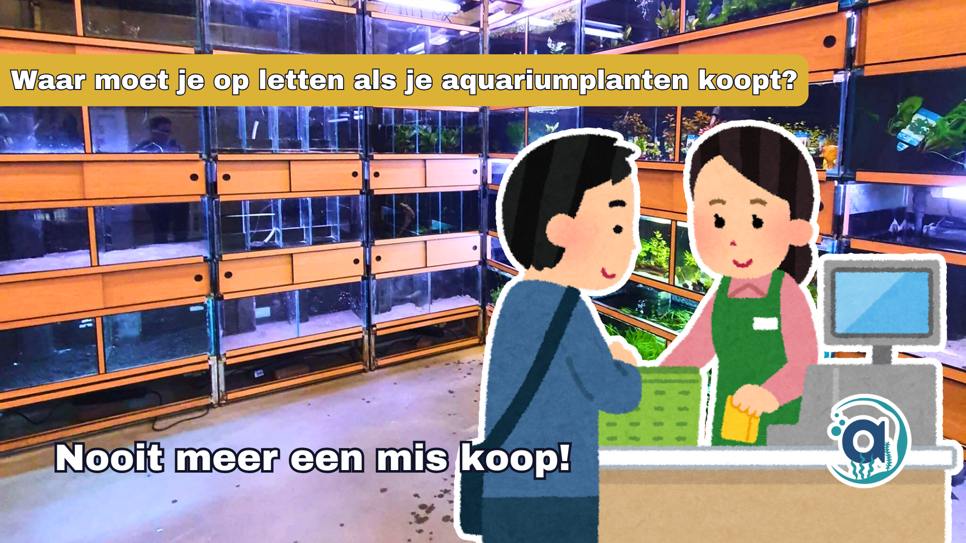 Waar moet je op letten als je aquariumplanten koopt?