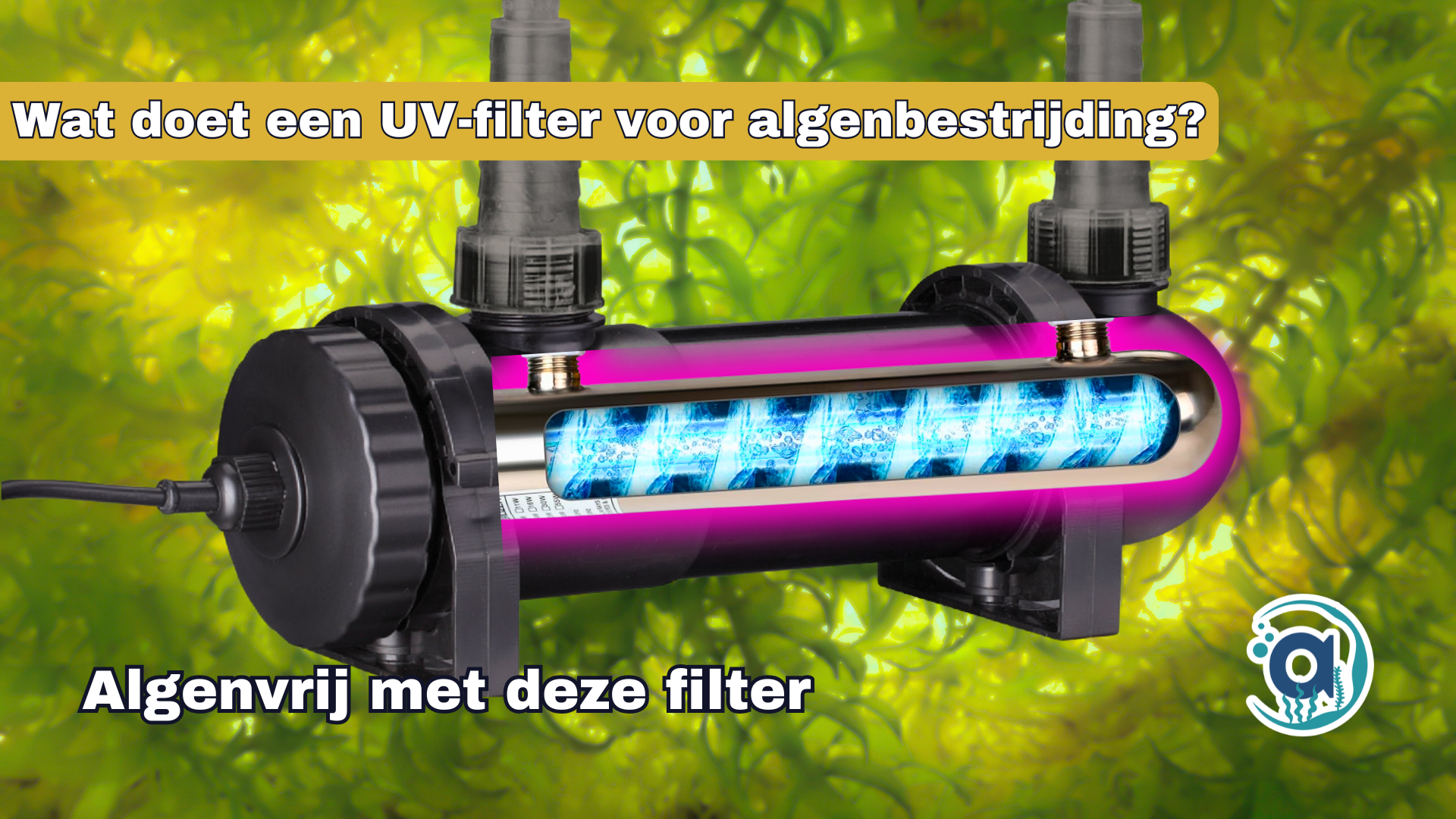 Wat doet een UV-filter voor algenbestrijding?