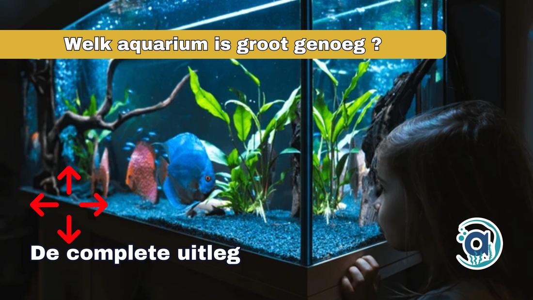 Welk aquarium is groot genoeg om te beginnen?