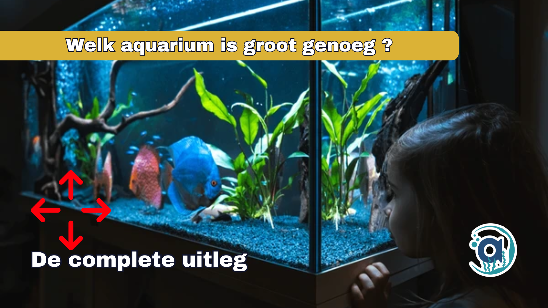 Welk aquarium is groot genoeg om te beginnen?
