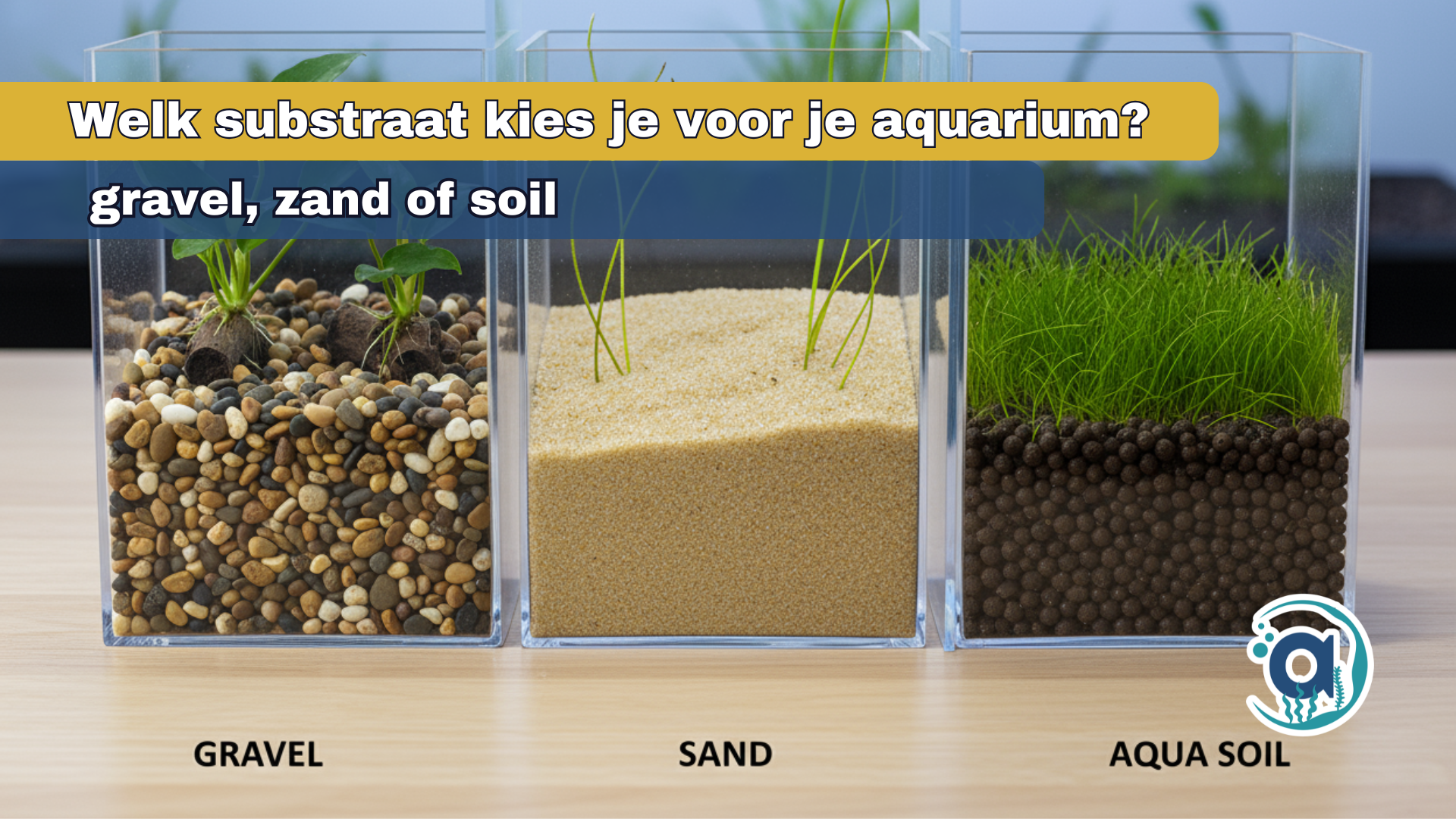 Welk substraat kies je voor je aquarium: gravel, zand of soil?