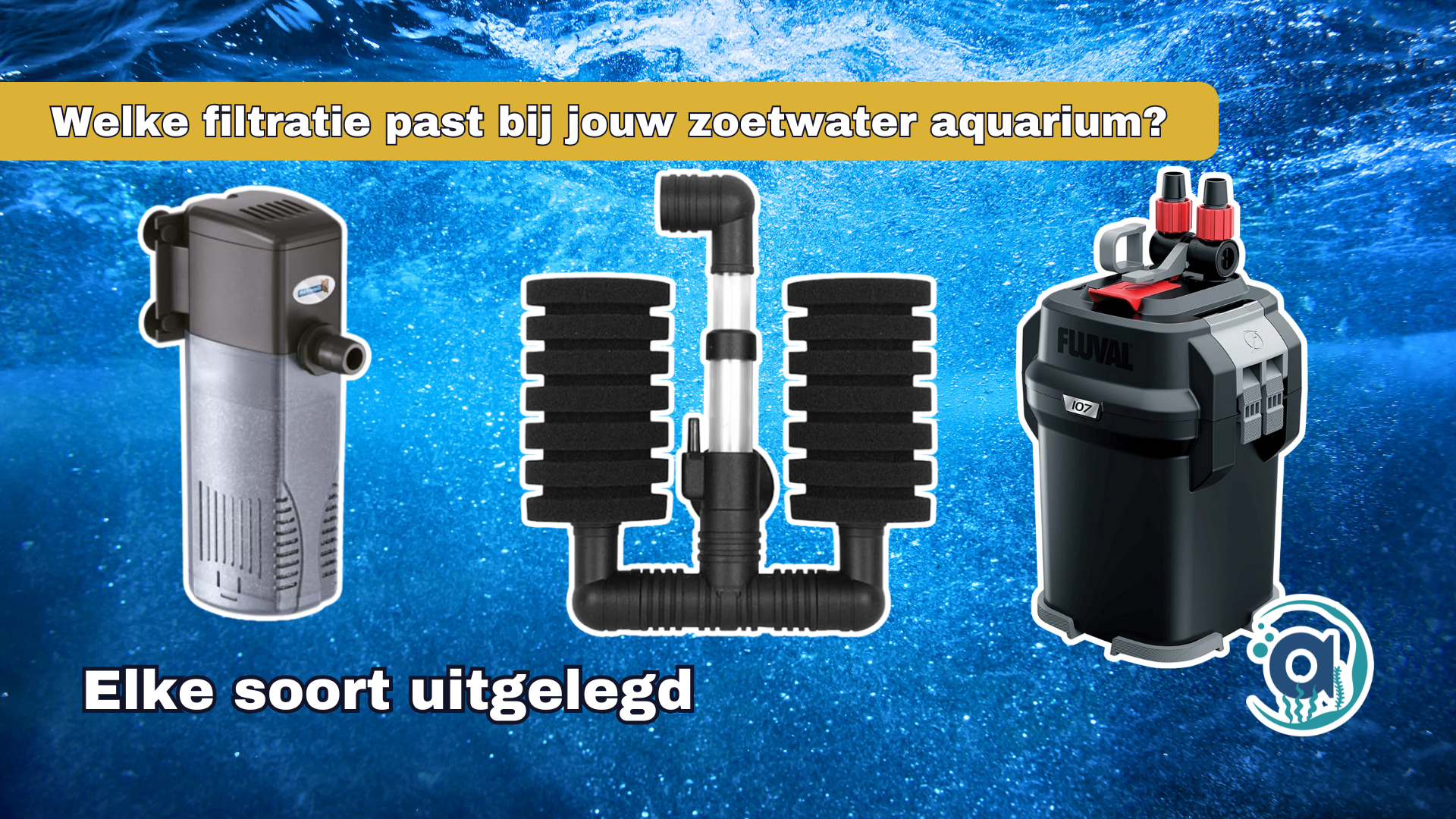 Welke filtratie past bij jouw zoetwater aquarium?