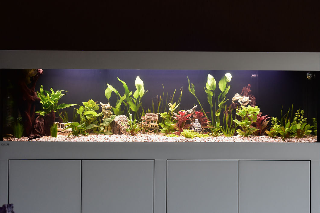 Welke bodembedekking is het beste voor mijn aquarium?