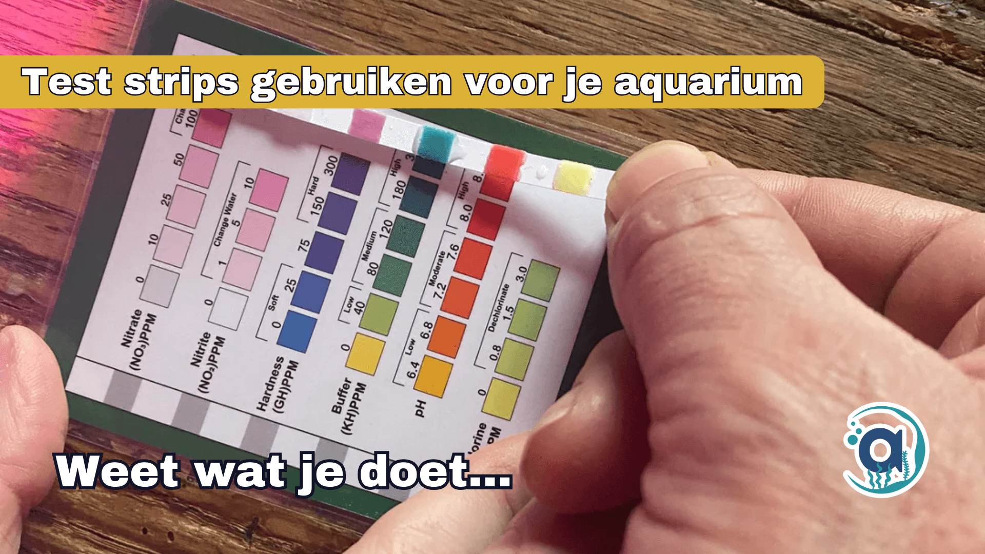 Hoe gebruik je aquarium test strips? 