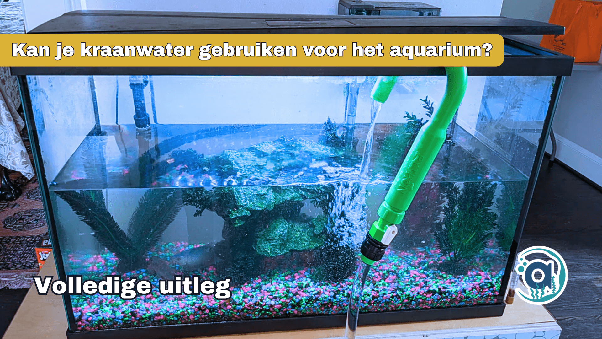 Is kraanwater veilig voor het aquarium foto met het hervullen van kraanwater