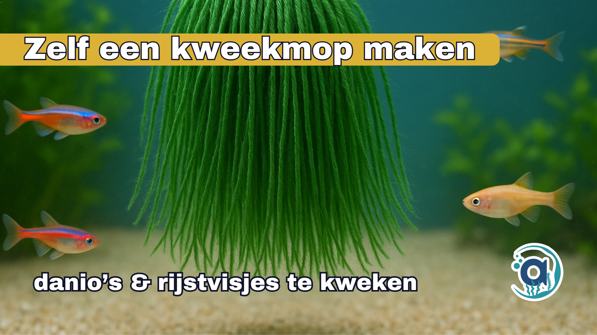 Zelf een kweekmop maken om danio’s & rijstvisjes te kweken
