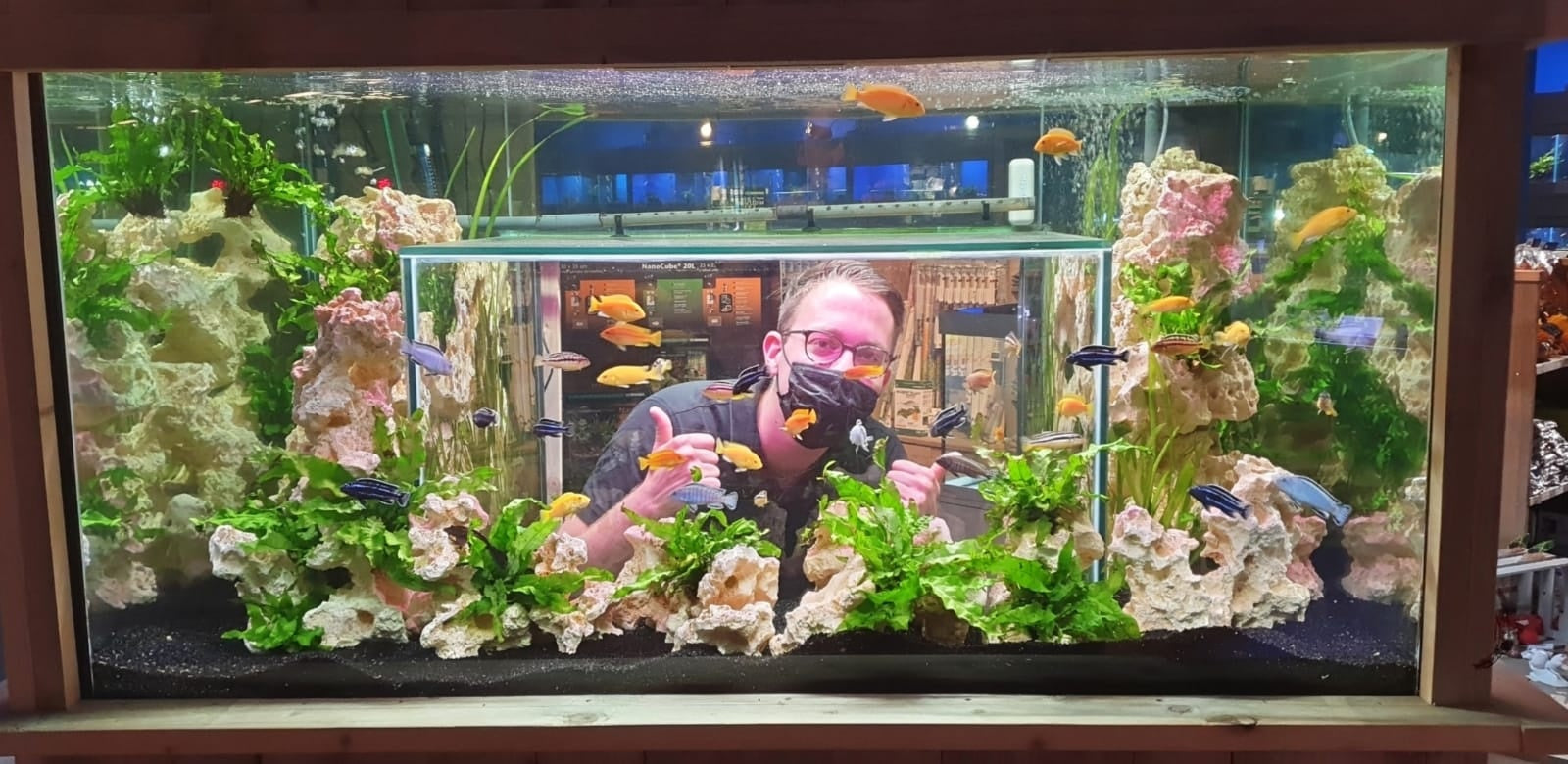 Hoeveel planten kunnen er in een aquarium?