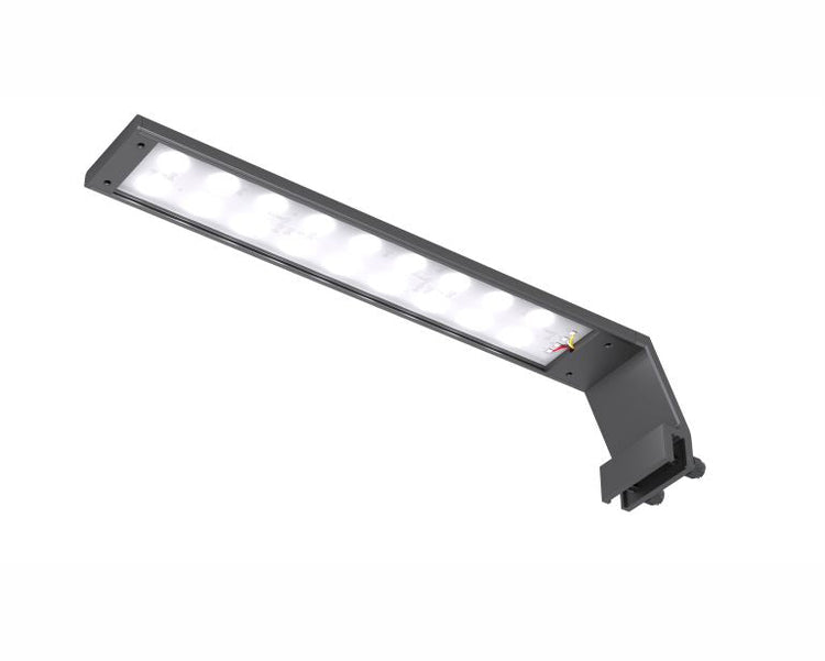 Lampen