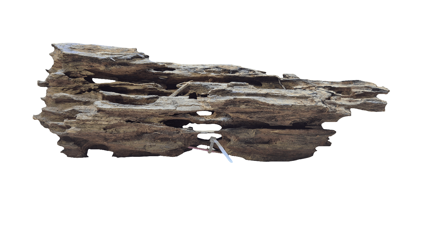 Dragonwood
