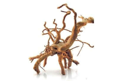 Hout
