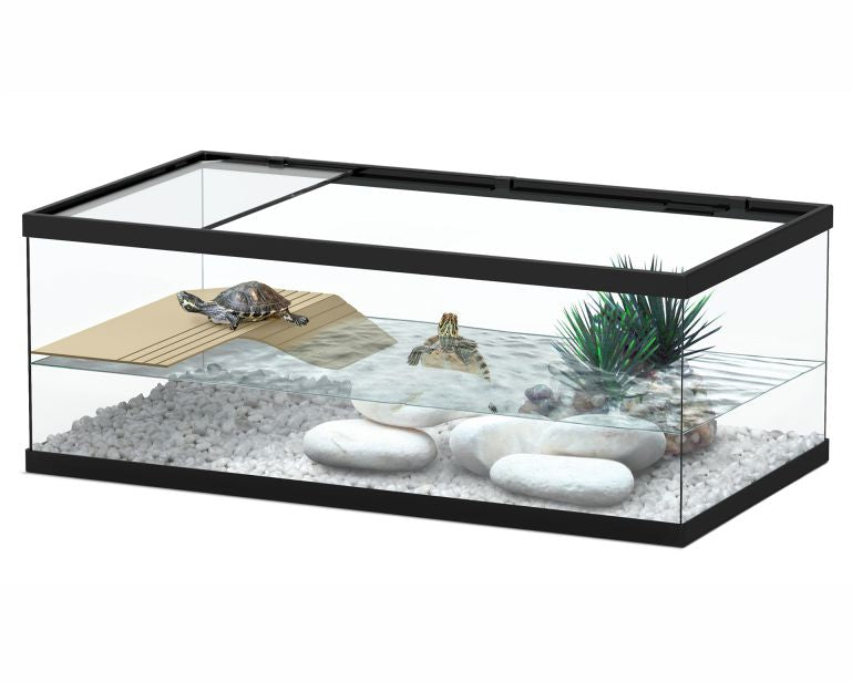 Aquatlantis Schildpadbak Tortum 55 55X30X20 CM Zwart