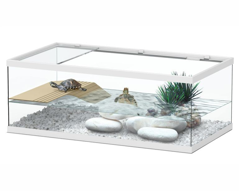 Aquatlantis Schildpadbak Tortum 55 55X30X20 CM Wit