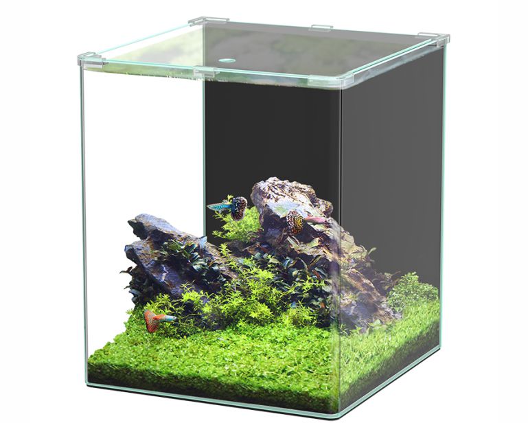 Aquatlantis Kubus Curve Basic 65L