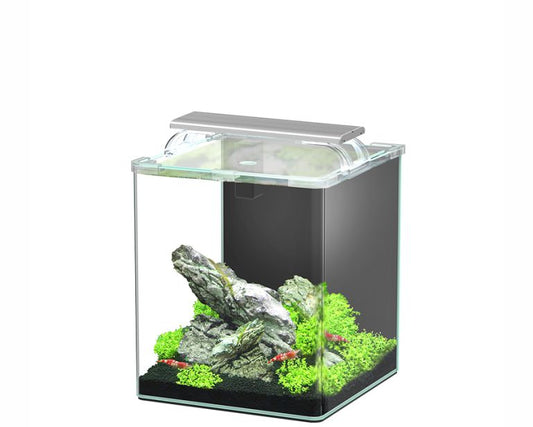 Aquatlantis Kubus Curve Essential 20L (LED + Biof)