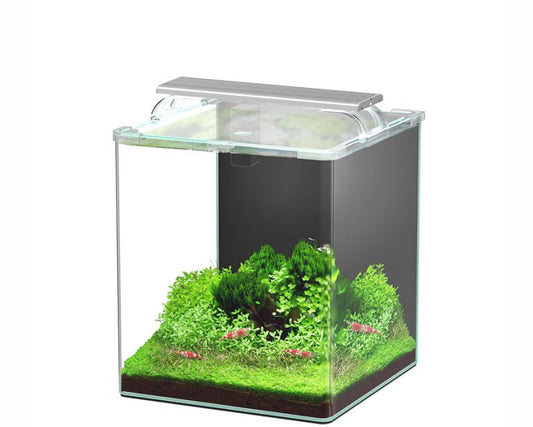Aquatlantis Kubus Curve Essential 30L (LED + Biof)