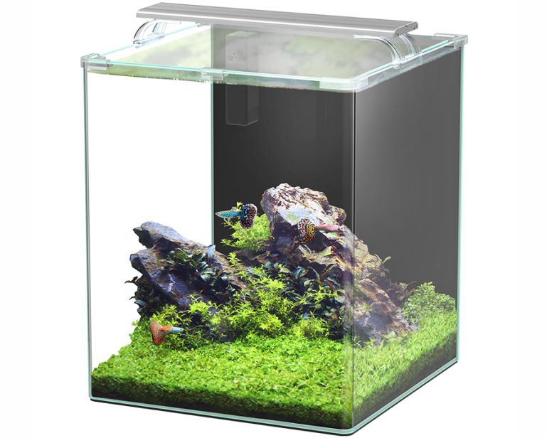 Aquatlantis Kubus Curve Complete 65L (LED+Biof+Soil)