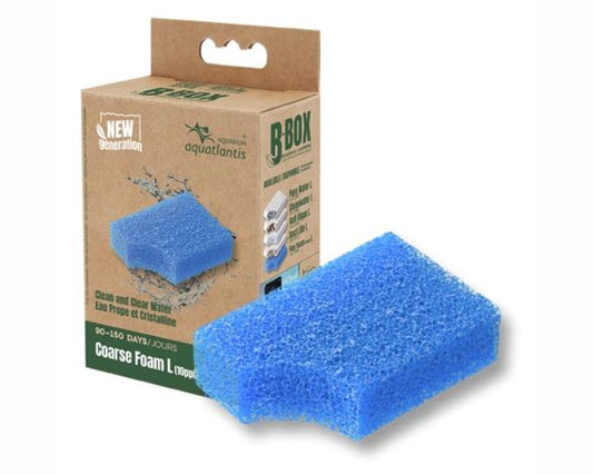 Aquatlantis B-Box Coarse Foam L