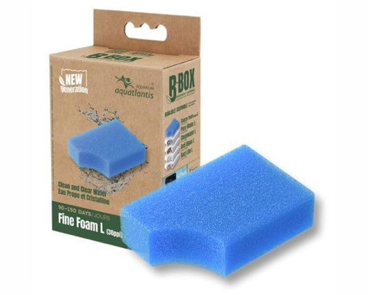 Aquatlantis B-Box Fine Foam L