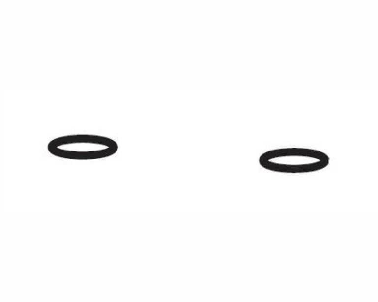Aquatlantis O-Ring Slangadapter Tbv Cleansys Pro 1400/1800