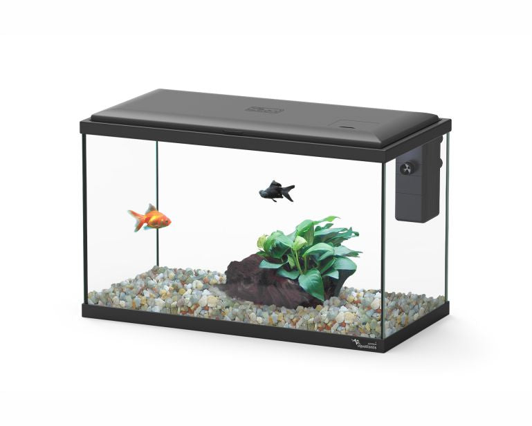 Aquatlantis Aquarium Explorer Lisbon Zwart 40.5X20.5X26.5 CM