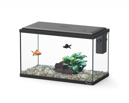Aquatlantis Aquarium Explorer Lisbon Zwart 40.5X20.5X26.5 CM
