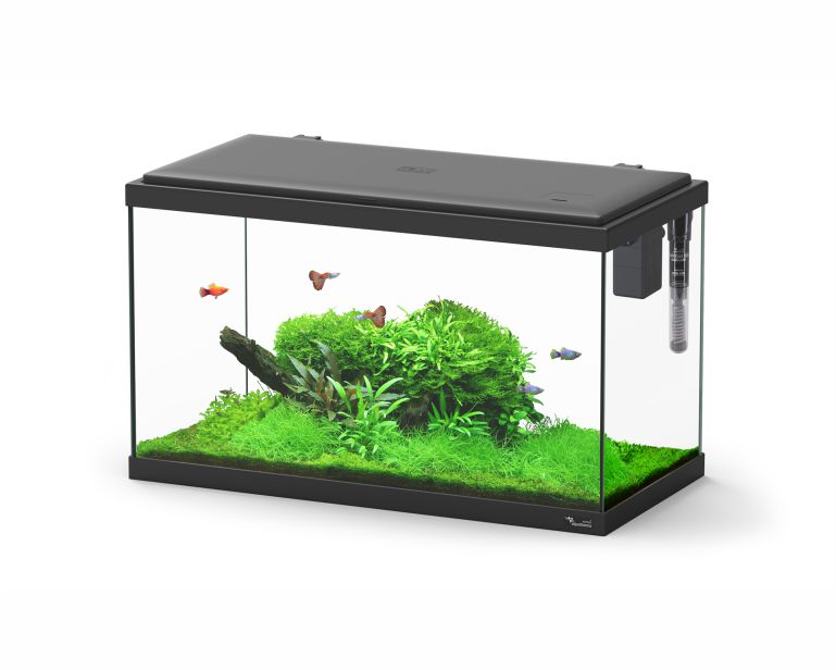 Aquatlantis Aquarium Explorer Paris 60 Zwart 60X30X34 CM