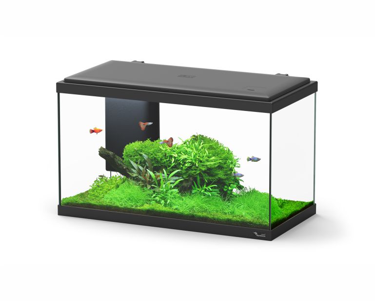 Aquatlantis Aquarium Explorer Biobox Paris 60 Zwart 60X30X34 CM