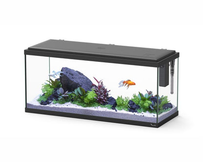 Aquatlantis Aquarium Explorer Amsterdam 80 Zwart 80X30X37 CM