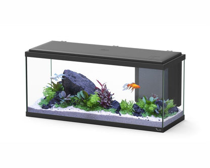 Aquatlantis Aquarium Explorer Biobox Amsterdam 80 Zwart 80X30X37 CM