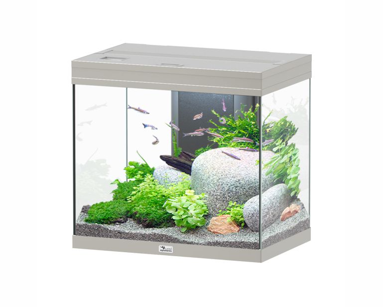 Aquatlantis Aquarium Splendid 60 Ultra Biobox