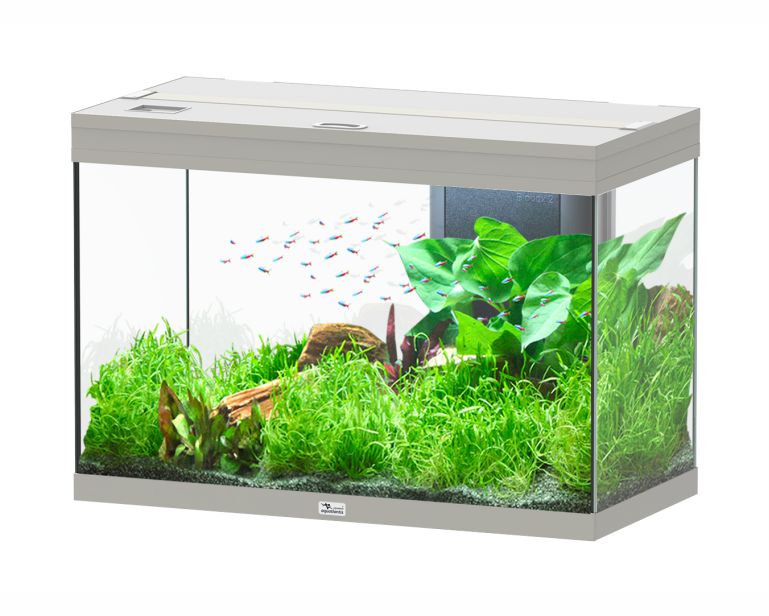 Aquatlantis Aquarium Splendid 80 Ultra Biobox