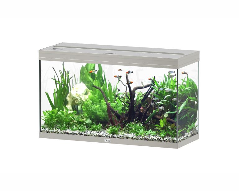 Aquatlantis Aquarium Splendid 100 Ultra Biobox Staal