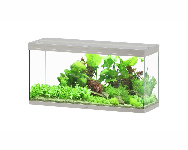 Aquatlantis Aquarium Splendid 120X40 Ultra Biobox Staal