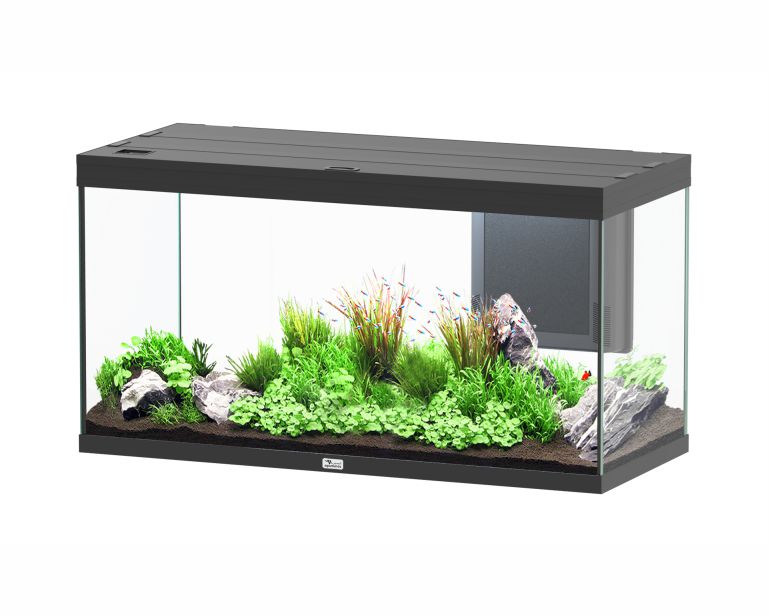 Aquatlantis Aquarium Splendid 120X50 Ultra Biobox Zwart