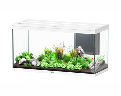 Aquatlantis Aquarium Splendid 120X50 Ultra Biobox Wit