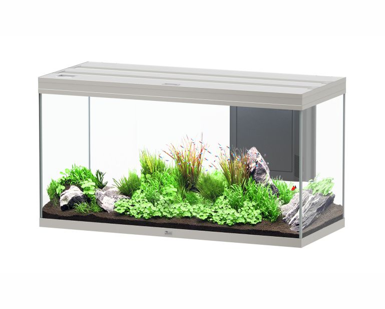 Aquatlantis Aquarium Splendid 120X50 Ultra Biobox Staal