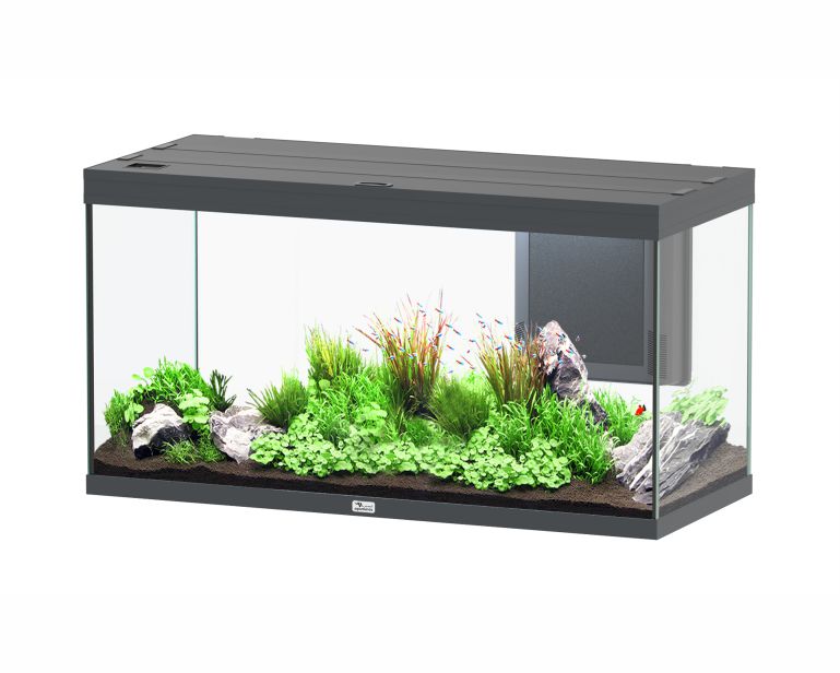 Aquatlantis Aquarium Splendid 120X50 Ultra Biobox Anthraciet