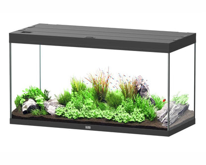 Aquatlantis Aquarium Splendid 120X50 Ultra Pro Zwart