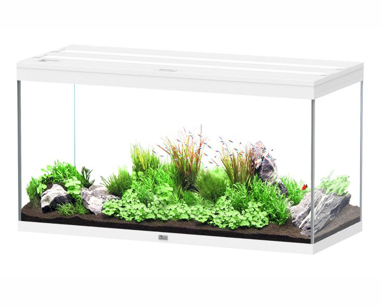 Aquatlantis Aquarium Splendid 120X50 Ultra Pro Wit