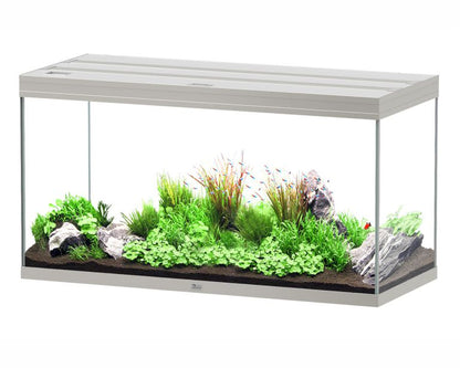 Aquatlantis Aquarium Splendid 120X50 Ultra Pro Staal